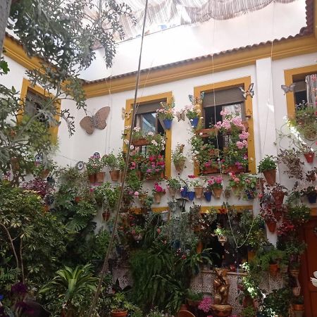 Patio Pozanco Villa Córdoba Eksteriør billede